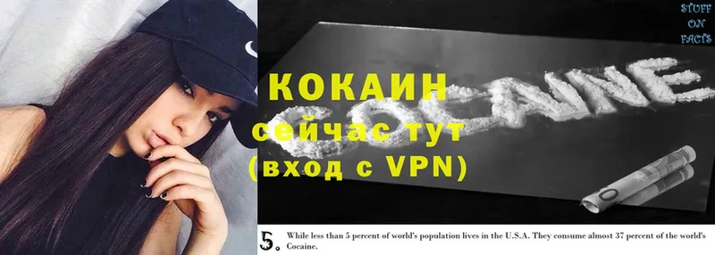 маркетплейс наркотические препараты  Качканар  COCAIN 99% 